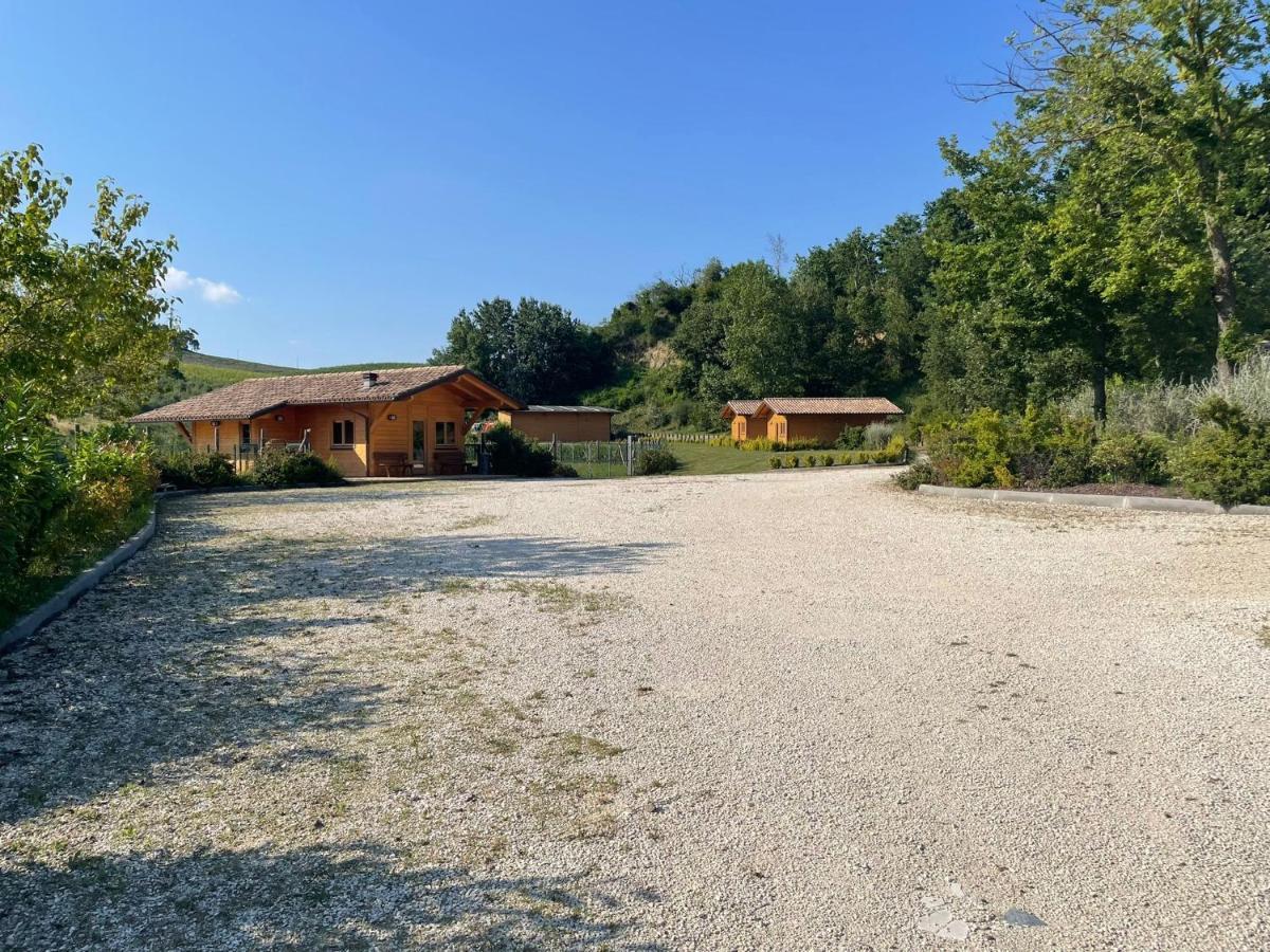 Colleolivi Apartman Serra deʼ Conti Kültér fotó
