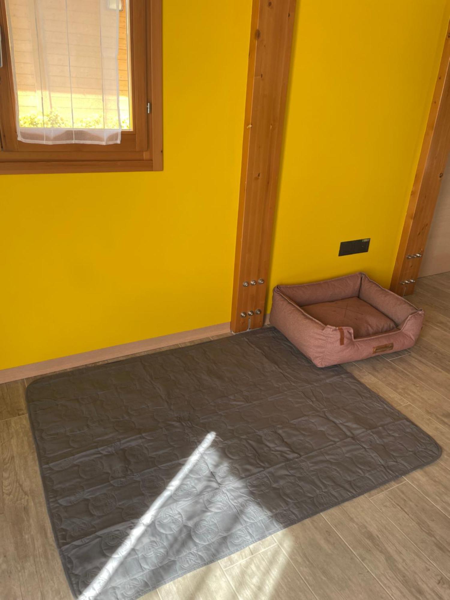 Colleolivi Apartman Serra deʼ Conti Kültér fotó